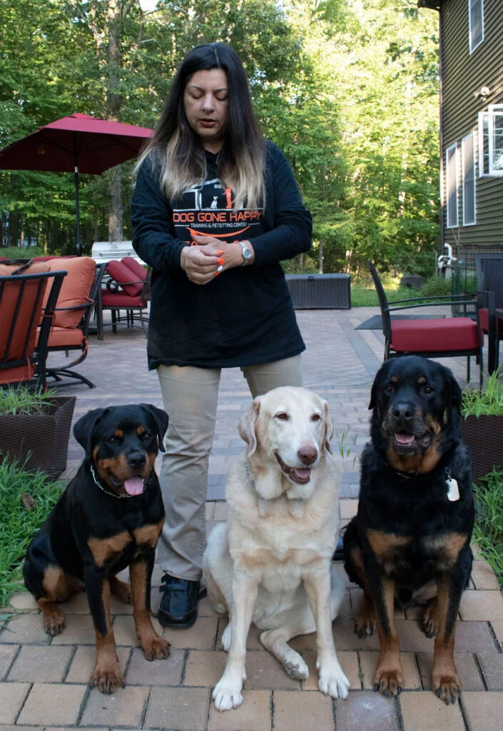 on-leash dog training