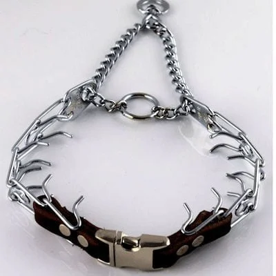 Prong collar for sales sale